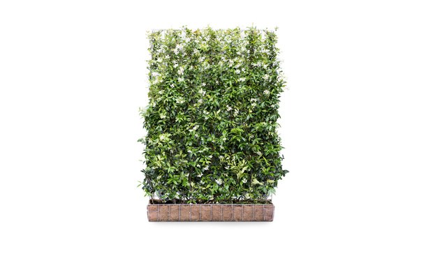 • Gras en Groen Hagen