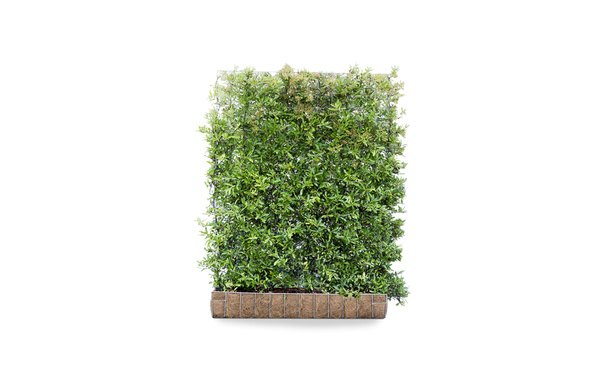 • Gras en Groen Hagen