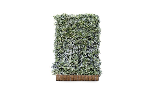 Hedera schutting Glacier- 180 cm - hardhout • Gras en Groen Schuttingen